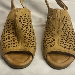 Womans Heels Size 6.5 Brown Block Heels 3 Inches Heel By Earth Pointed Toe.